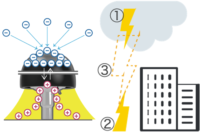 Neutralization